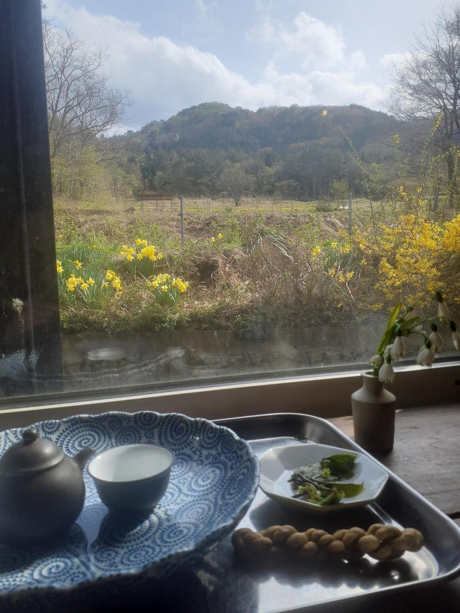Tanehachi Farm Guesthouse - Vacation Stay 29709V Aomori Kültér fotó